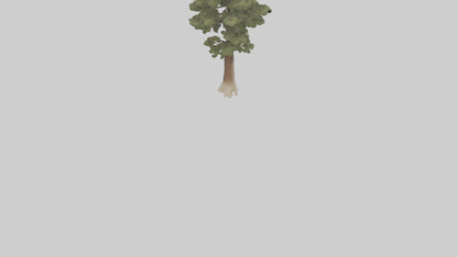 3D model Sand Pine tree model VR / AR / low-poly