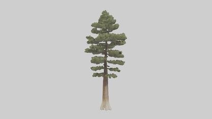 3D model Sand Pine tree model VR / AR / low-poly