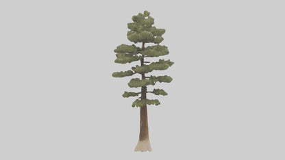 3D model Sand Pine tree model VR / AR / low-poly
