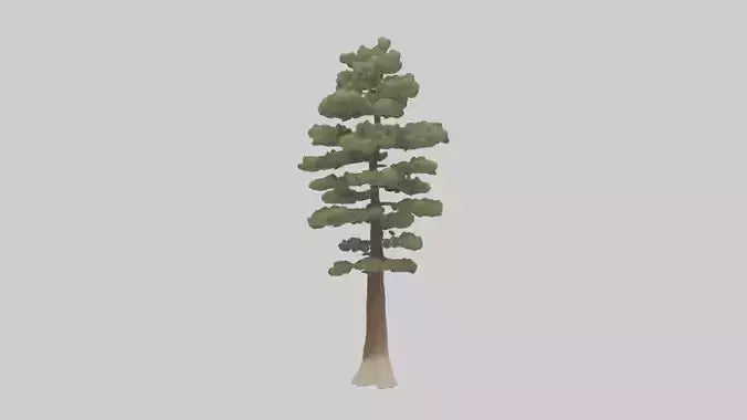 3D model Sand Pine tree model VR / AR / low-poly