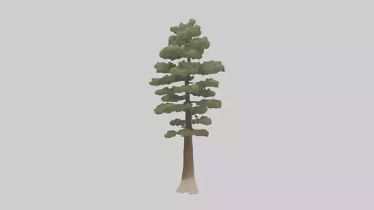 3D model Sand Pine tree model VR / AR / low-poly