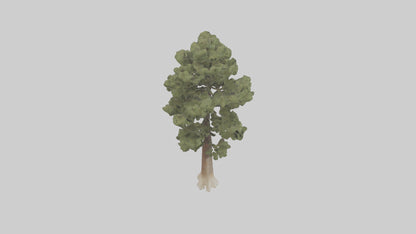 3D model Sand Pine tree model VR / AR / low-poly