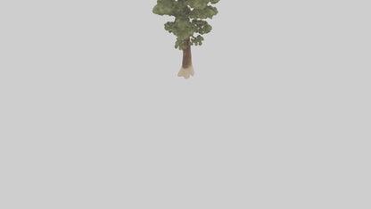 3D model Sand Pine tree model VR / AR / low-poly