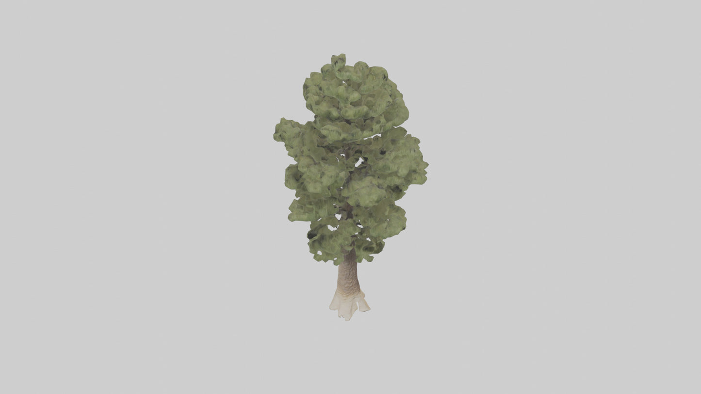 3D model Sand Pine tree model VR / AR / low-poly