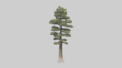 3D model Sand Pine tree model VR / AR / low-poly