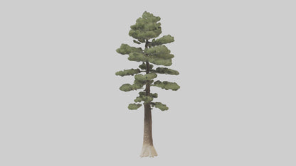 3D model Sand Pine tree model VR / AR / low-poly