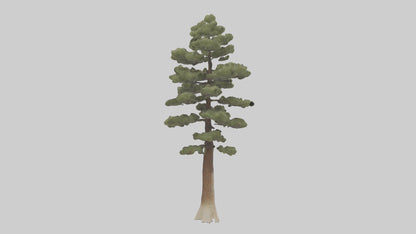 3D model Sand Pine tree model VR / AR / low-poly