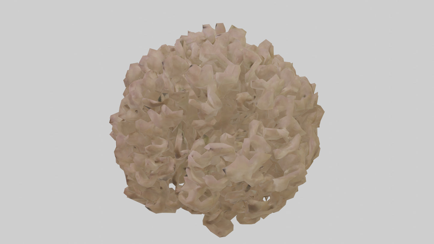 Sand Verbena model VR / AR / low-poly
