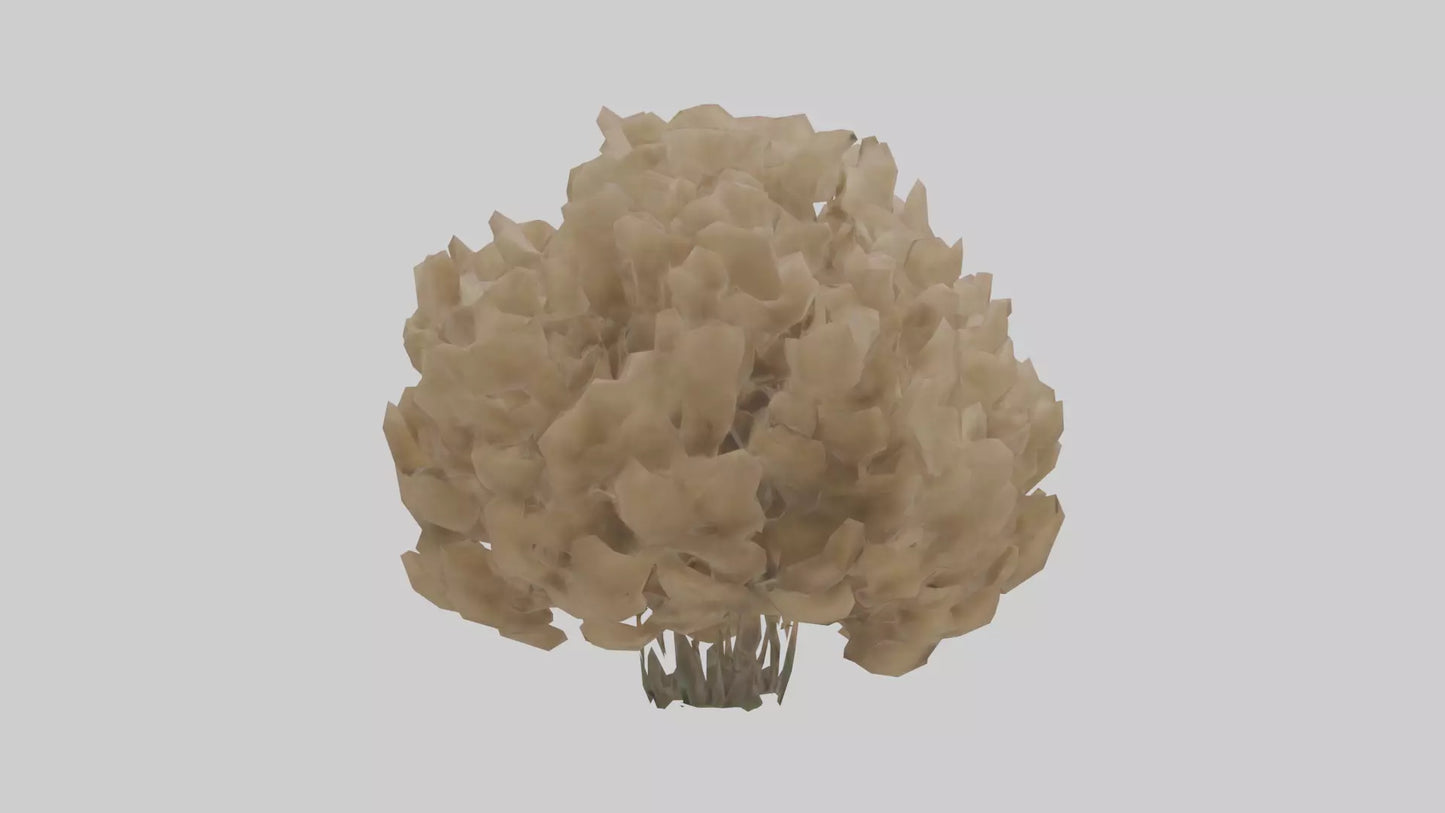 Sand Verbena model VR / AR / low-poly