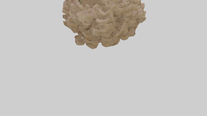 Sand Verbena model VR / AR / low-poly