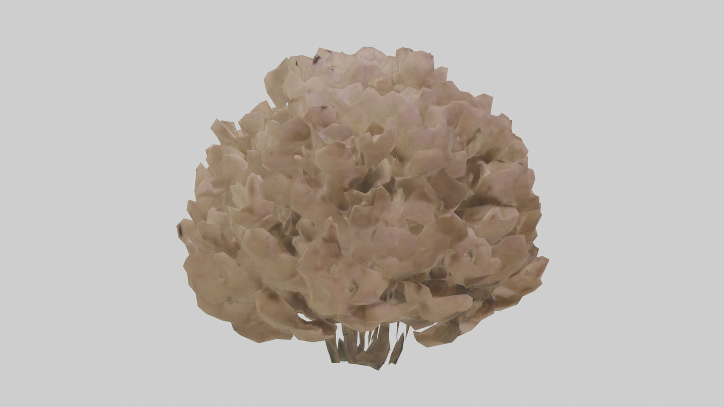 Sand Verbena model VR / AR / low-poly