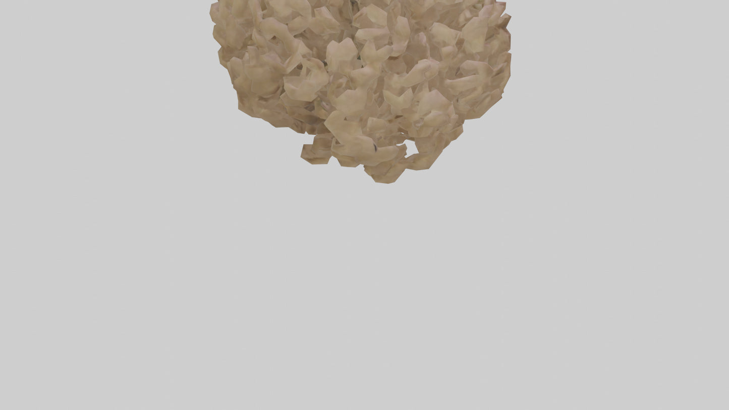Sand Verbena model VR / AR / low-poly