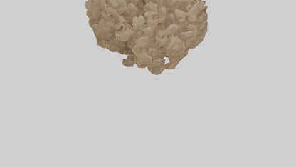 Sand Verbena model VR / AR / low-poly