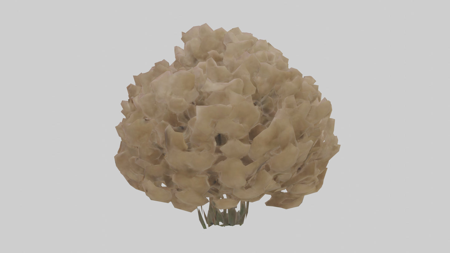 Sand Verbena model VR / AR / low-poly