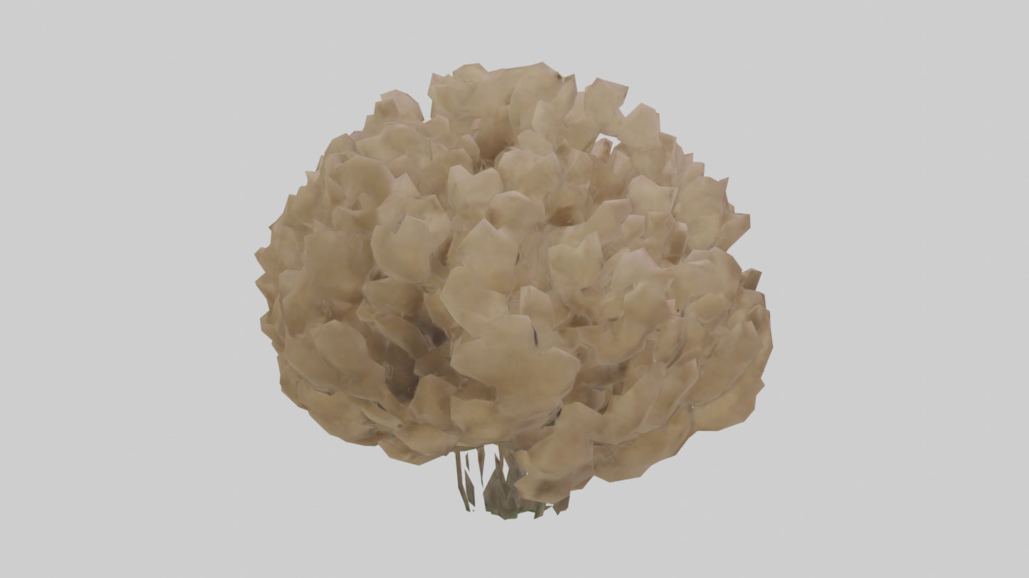 Sand Verbena model VR / AR / low-poly