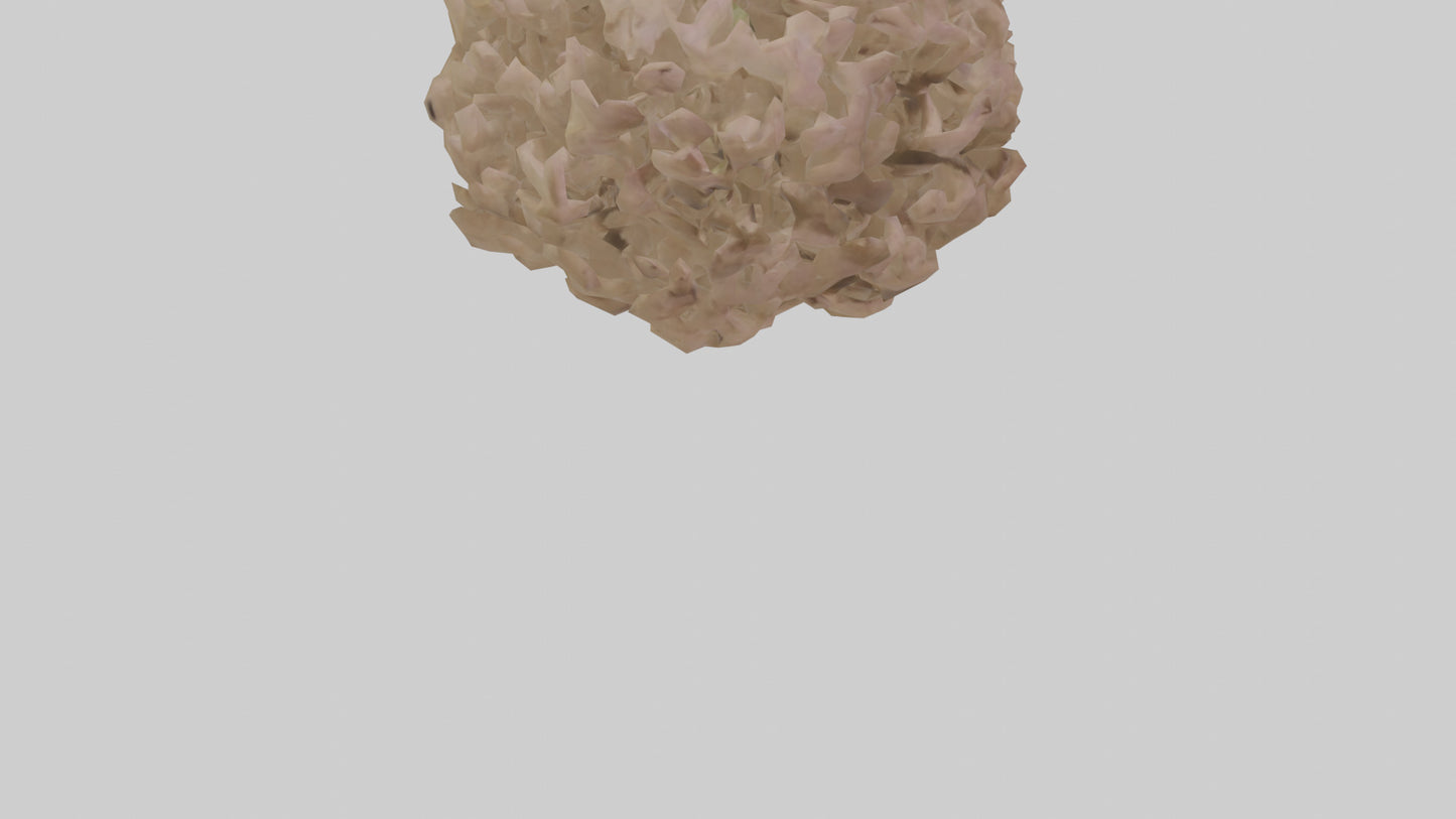 Sand Verbena model VR / AR / low-poly