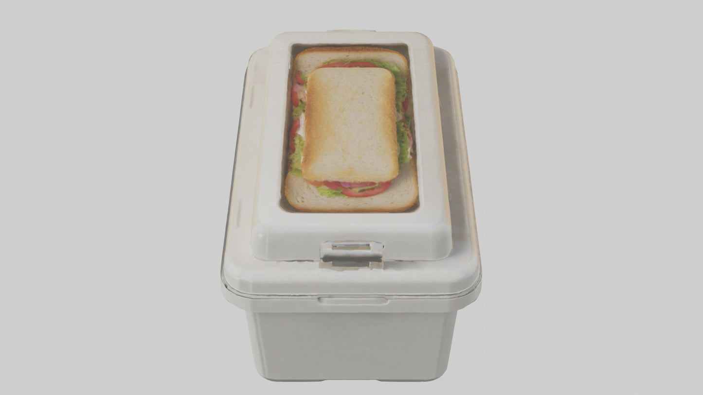 3D model Sandwich Box model VR / AR / low-poly