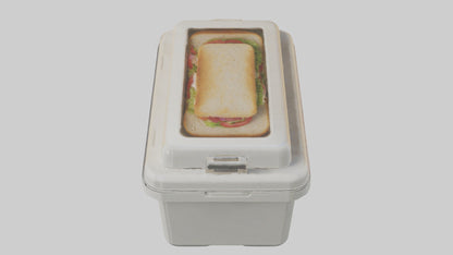3D model Sandwich Box model VR / AR / low-poly