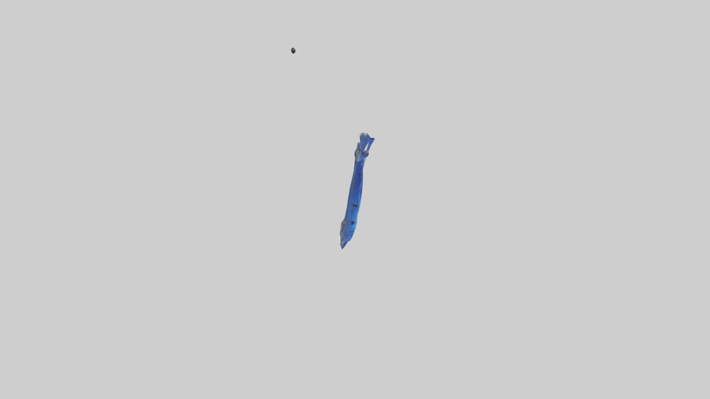 3D model Sapphire Bow model VR / AR / low-poly