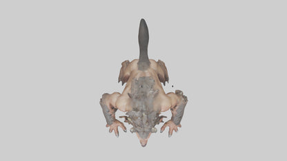 Savage beast model 3D model