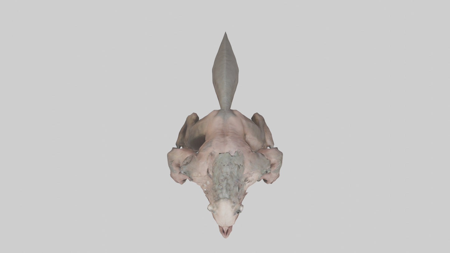 Savage Creature model VR / AR / low-poly