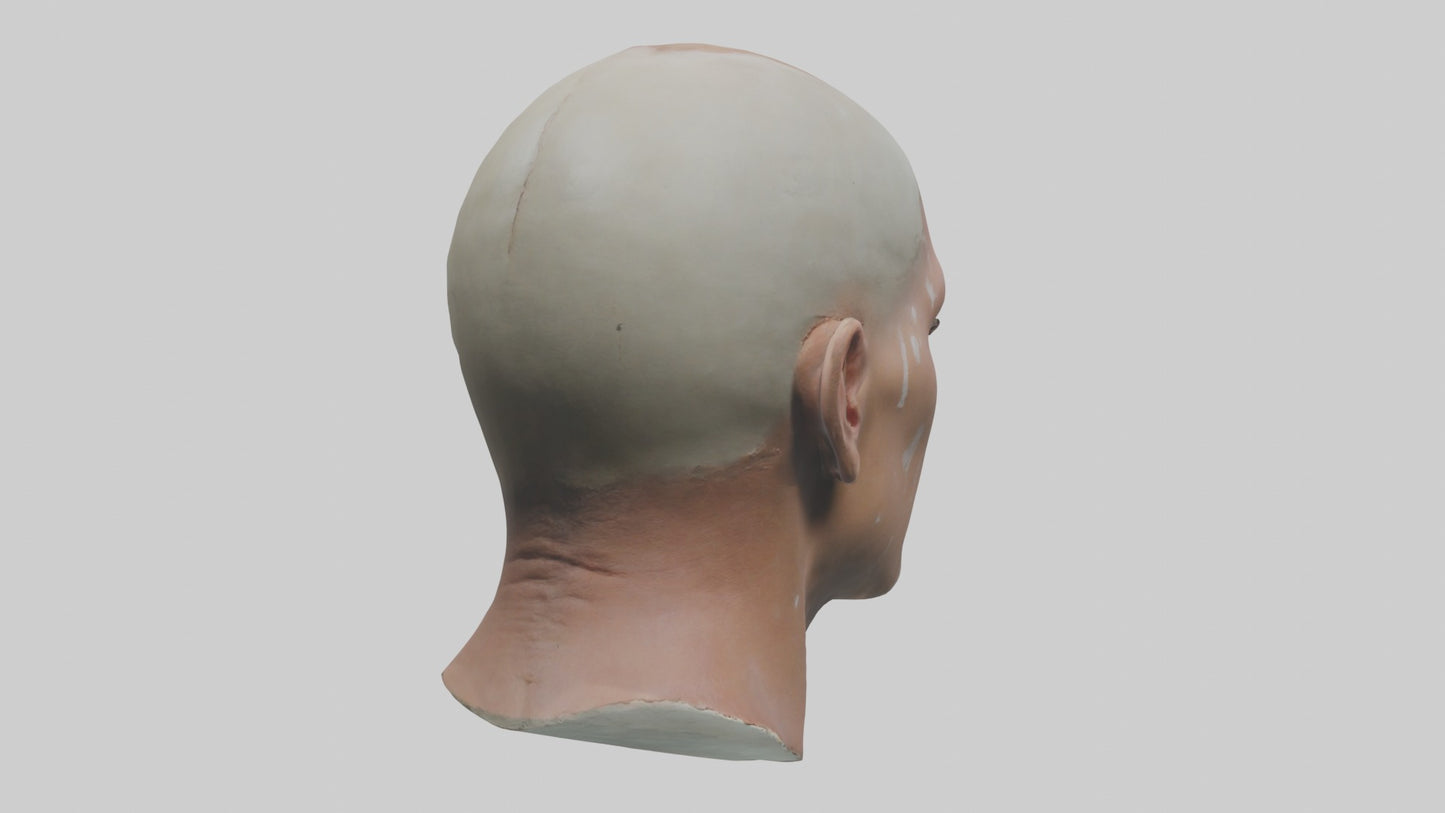 3D model Scalpedhead Model VR / AR / low-poly