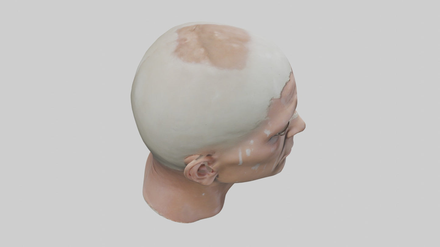 3D model Scalpedhead Model VR / AR / low-poly