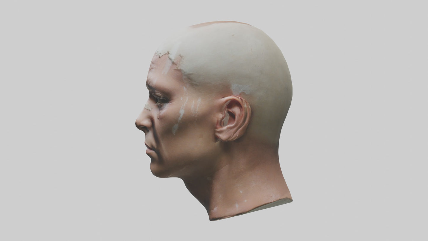 3D model Scalpedhead Model VR / AR / low-poly