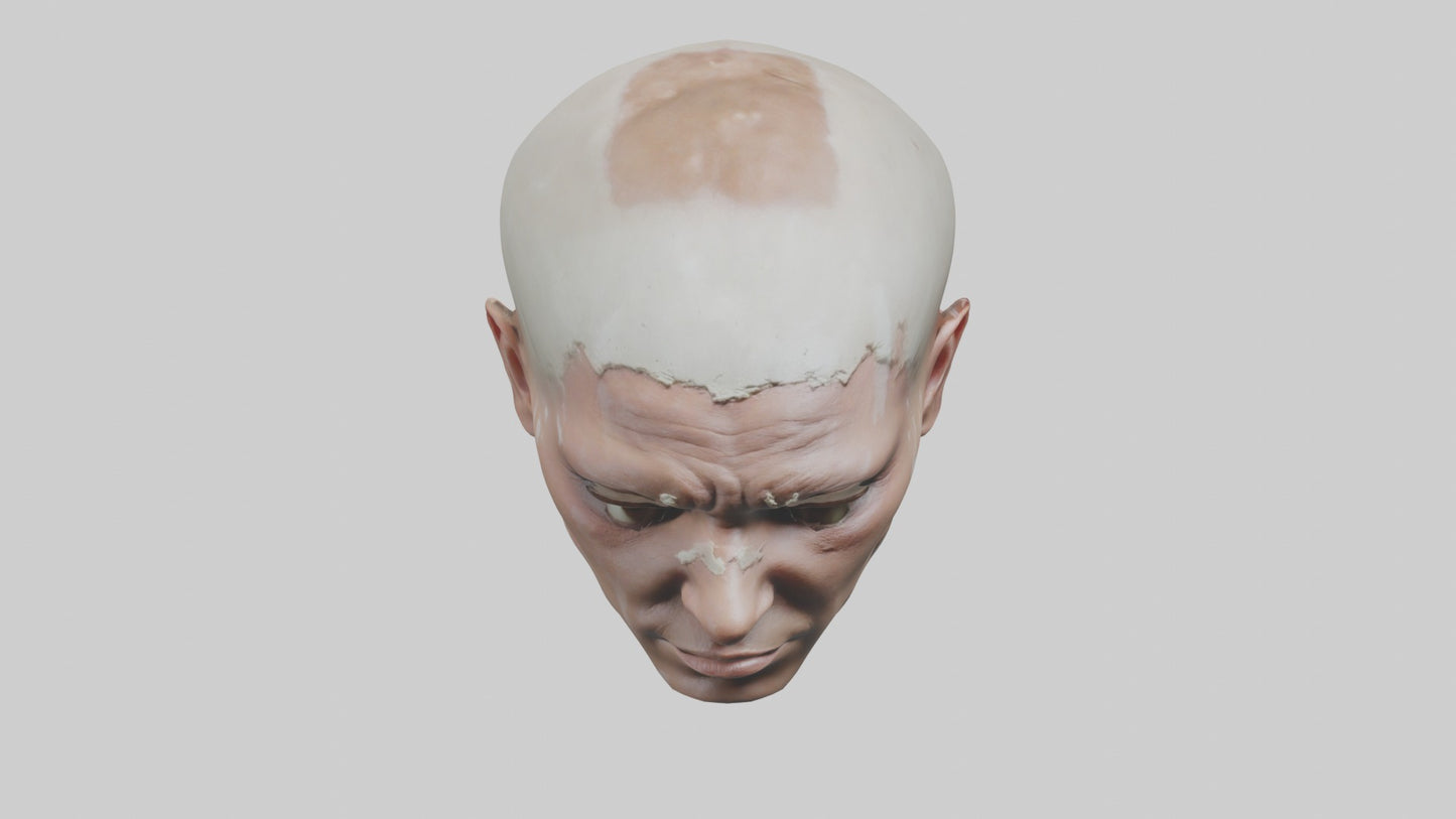 3D model Scalpedhead Model VR / AR / low-poly