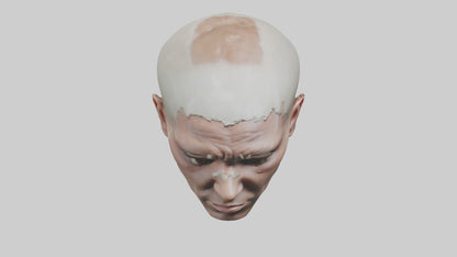 3D model Scalpedhead Model VR / AR / low-poly