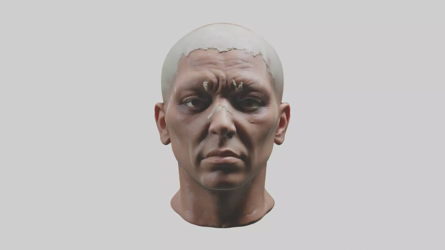 3D model Scalpedhead Model VR / AR / low-poly