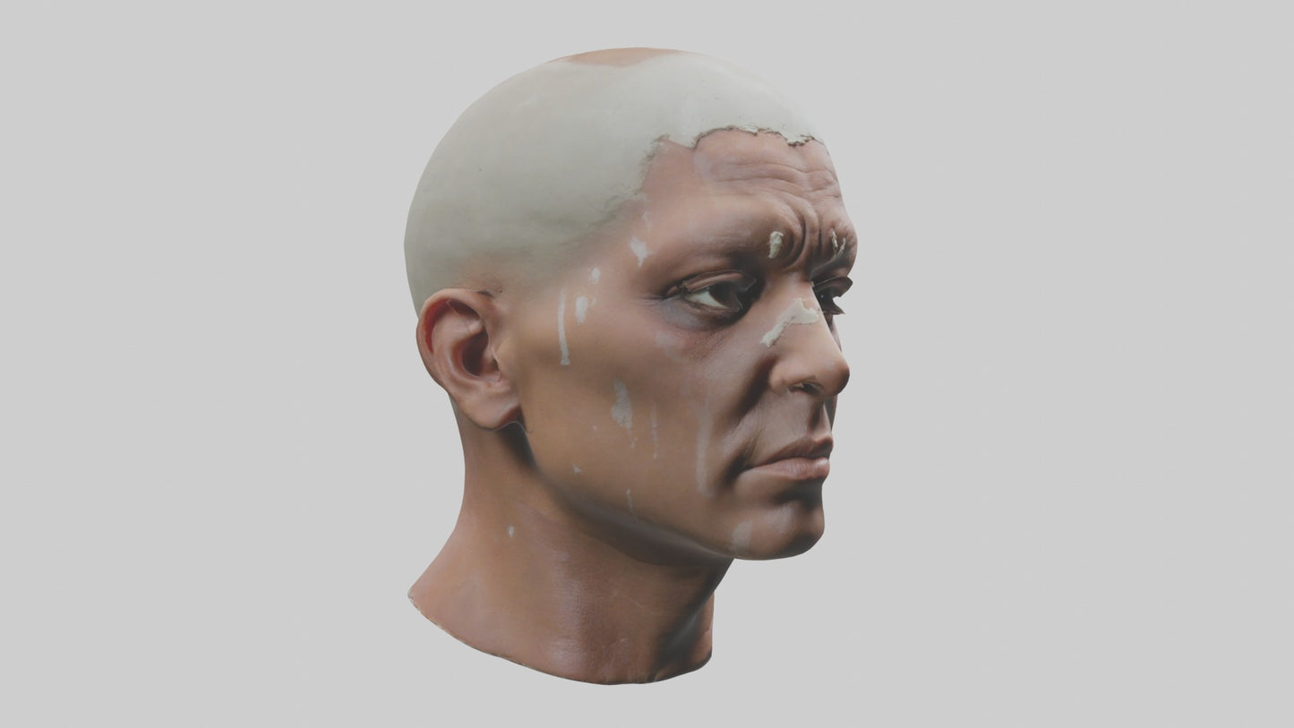 3D model Scalpedhead Model VR / AR / low-poly