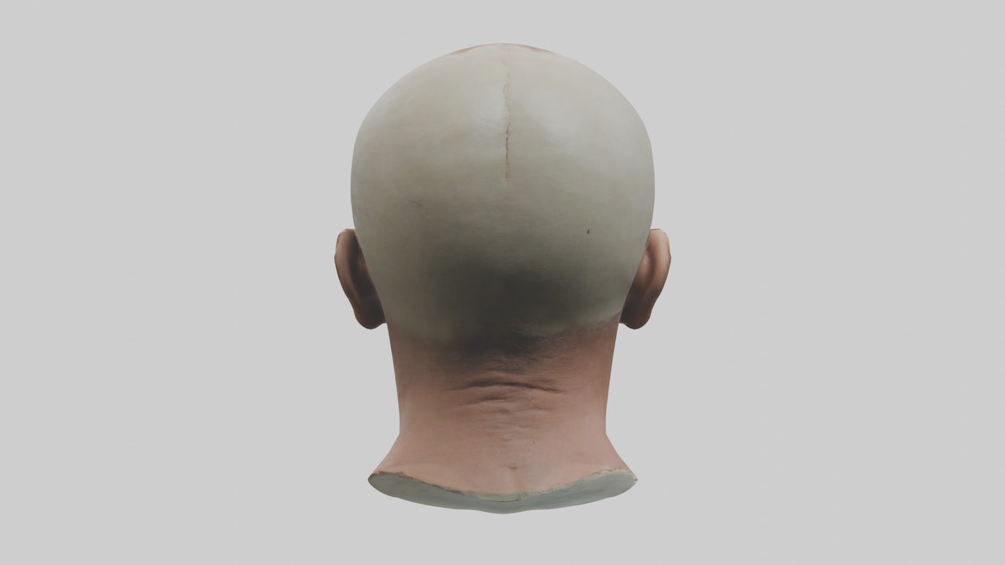 3D model Scalpedhead Model VR / AR / low-poly