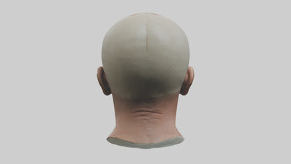 3D model Scalpedhead Model VR / AR / low-poly