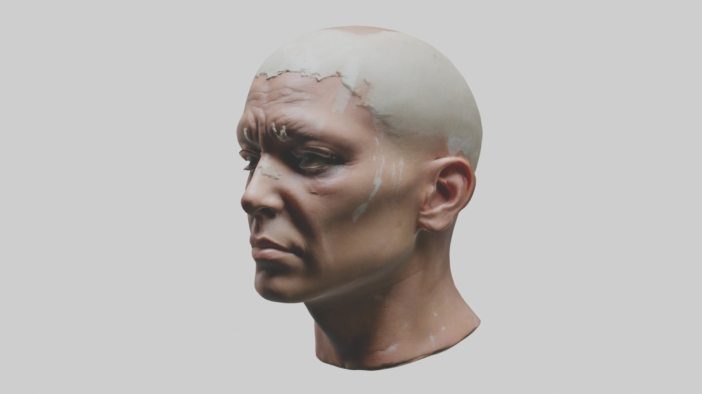 3D model Scalpedhead Model VR / AR / low-poly