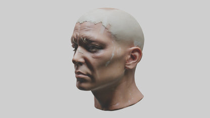 3D model Scalpedhead Model VR / AR / low-poly