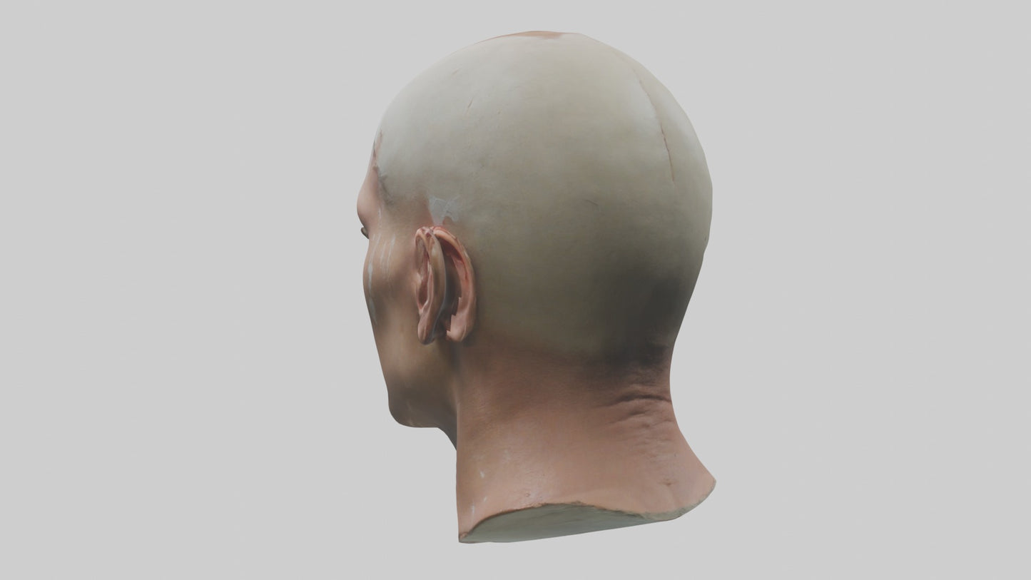 3D model Scalpedhead Model VR / AR / low-poly