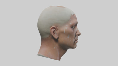 3D model Scalpedhead Model VR / AR / low-poly