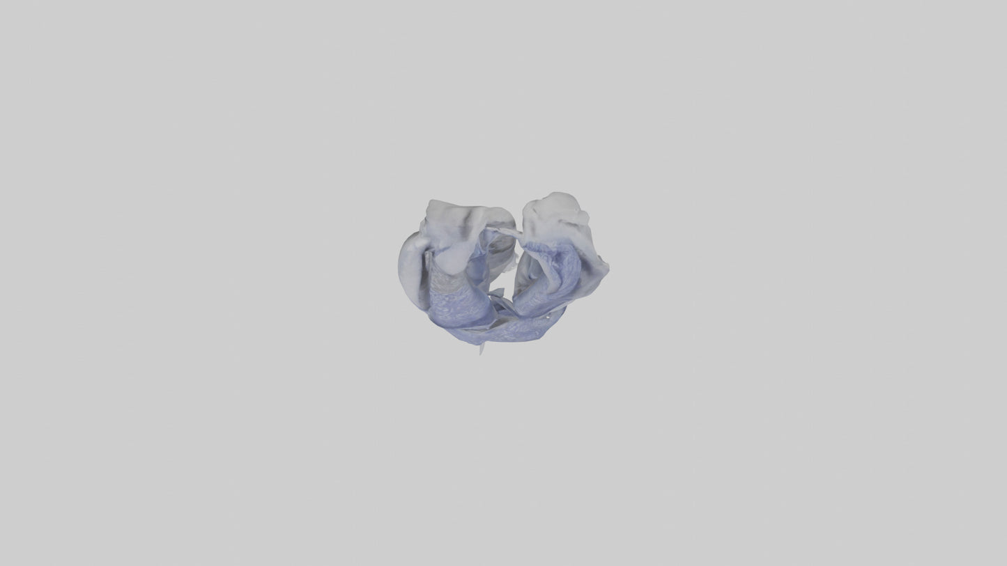 3D model Scarf model VR / AR / low-poly
