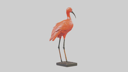 Scarlet Ibis statue model VR / AR / low-poly