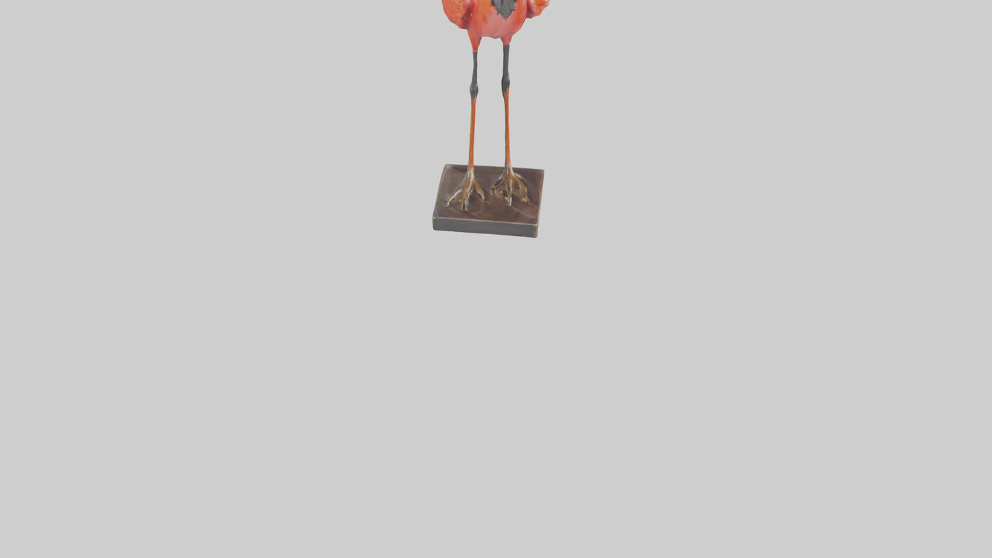 Scarlet Ibis statue model VR / AR / low-poly