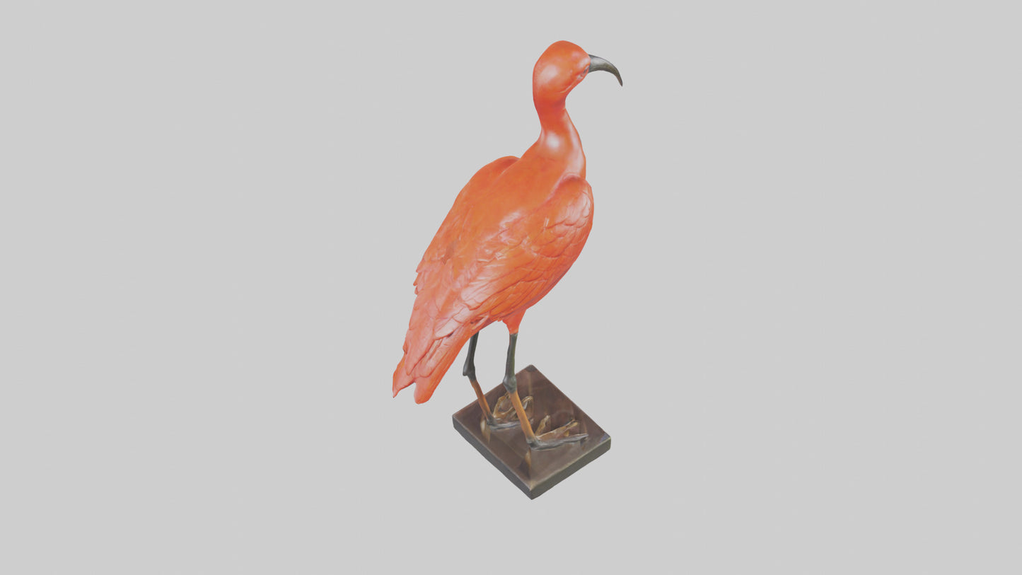 Scarlet Ibis statue model VR / AR / low-poly