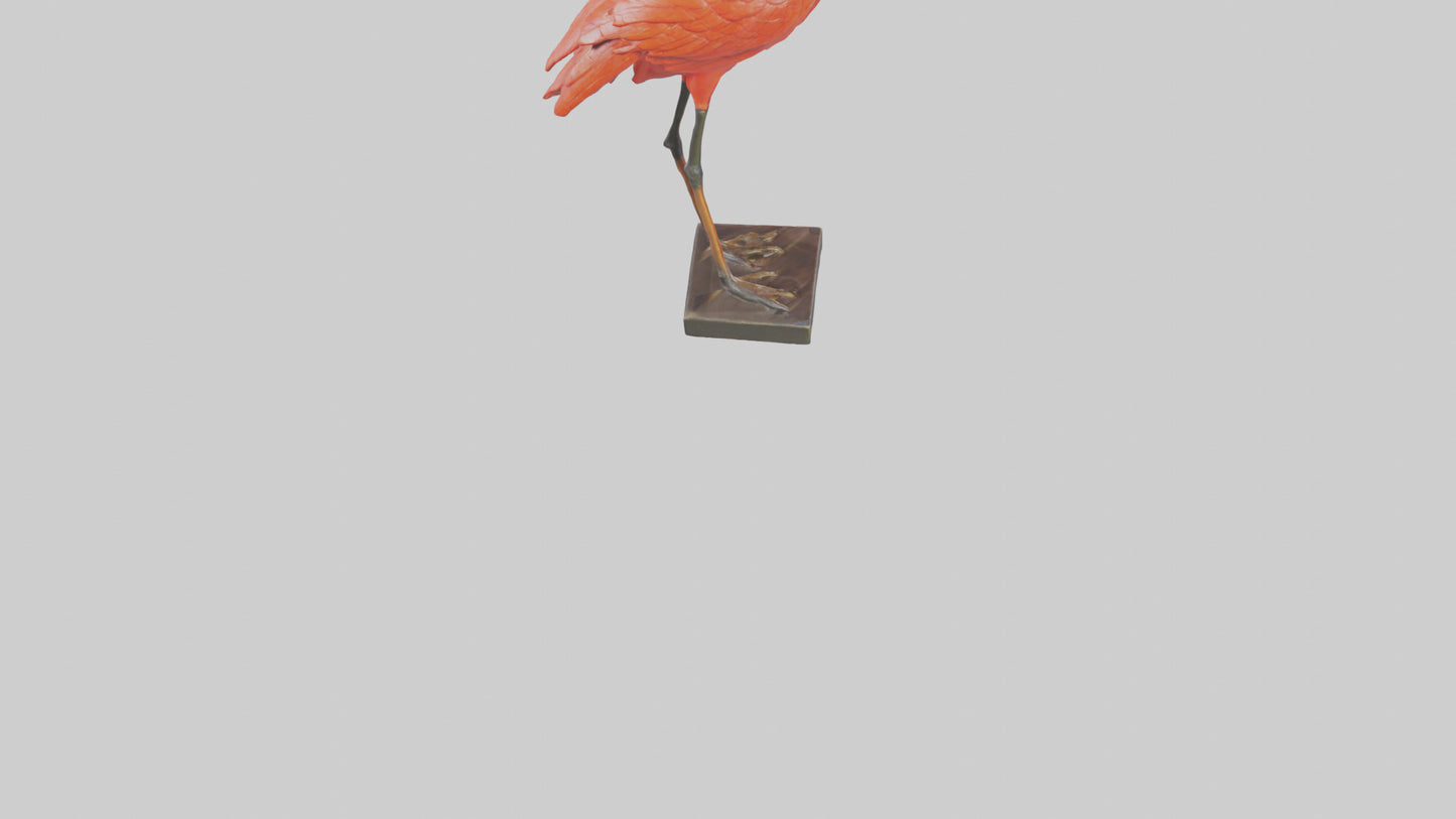 Scarlet Ibis statue model VR / AR / low-poly