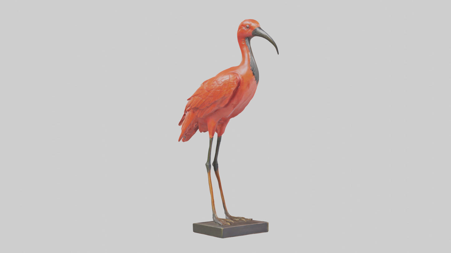Scarlet Ibis statue model VR / AR / low-poly