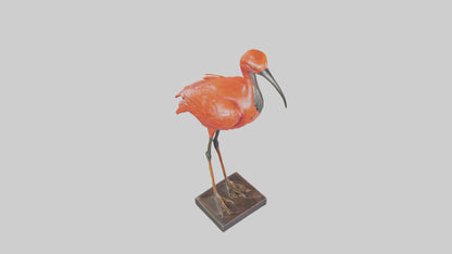 Scarlet Ibis statue model VR / AR / low-poly