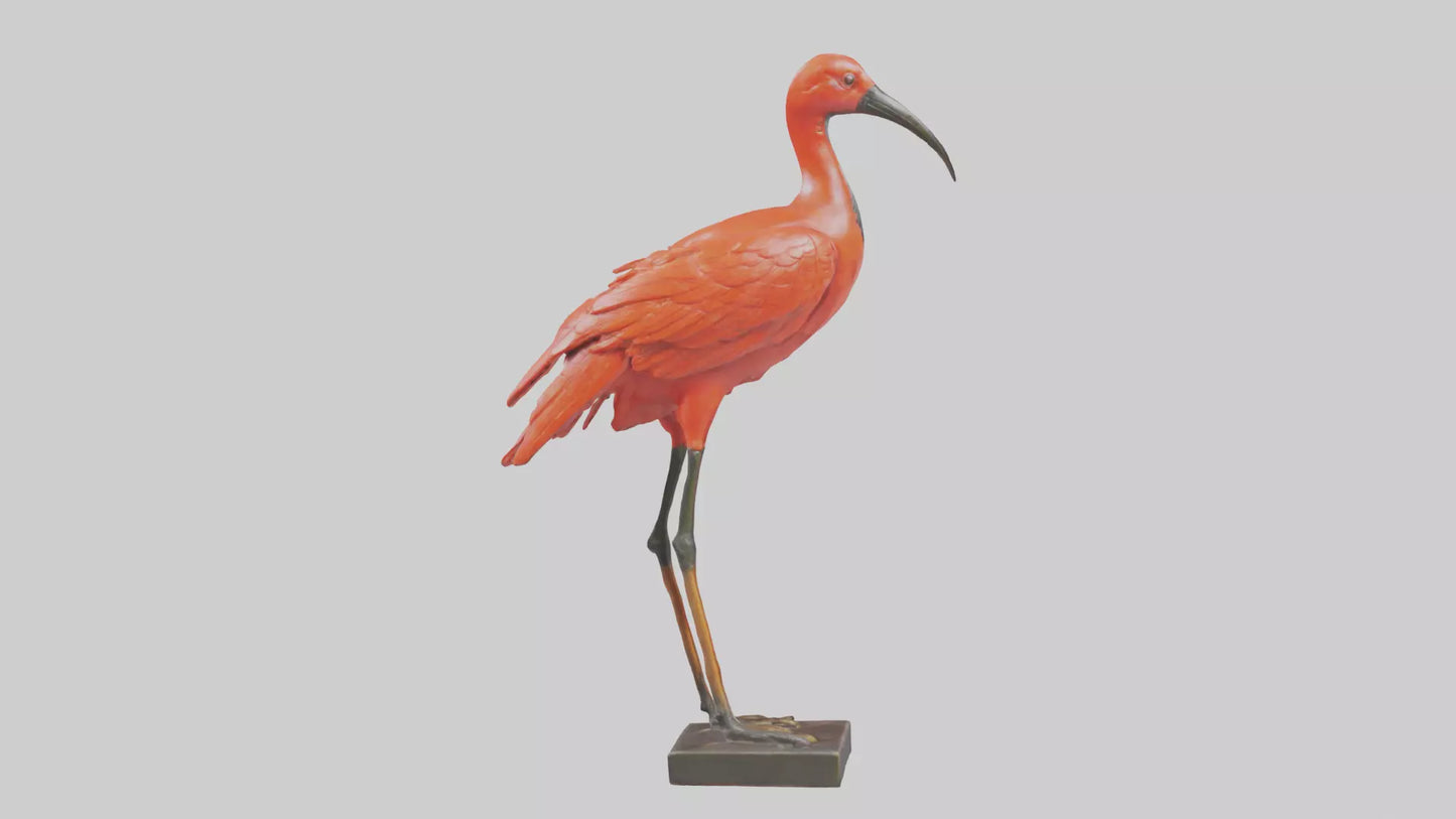 Scarlet Ibis statue model VR / AR / low-poly
