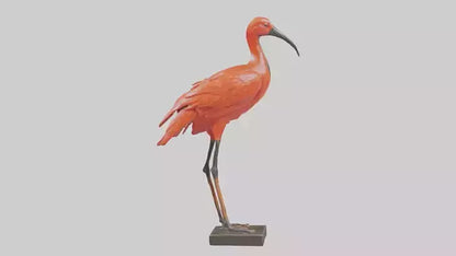 Scarlet Ibis statue model VR / AR / low-poly