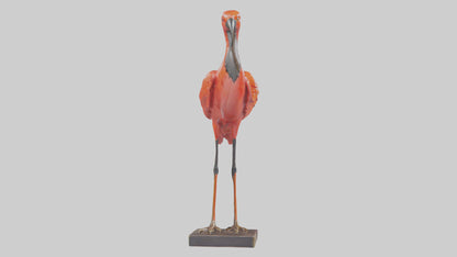 Scarlet Ibis statue model VR / AR / low-poly
