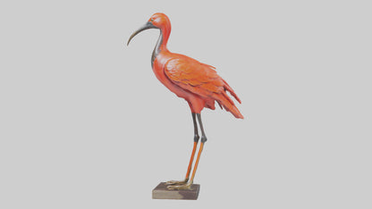 Scarlet Ibis statue model VR / AR / low-poly