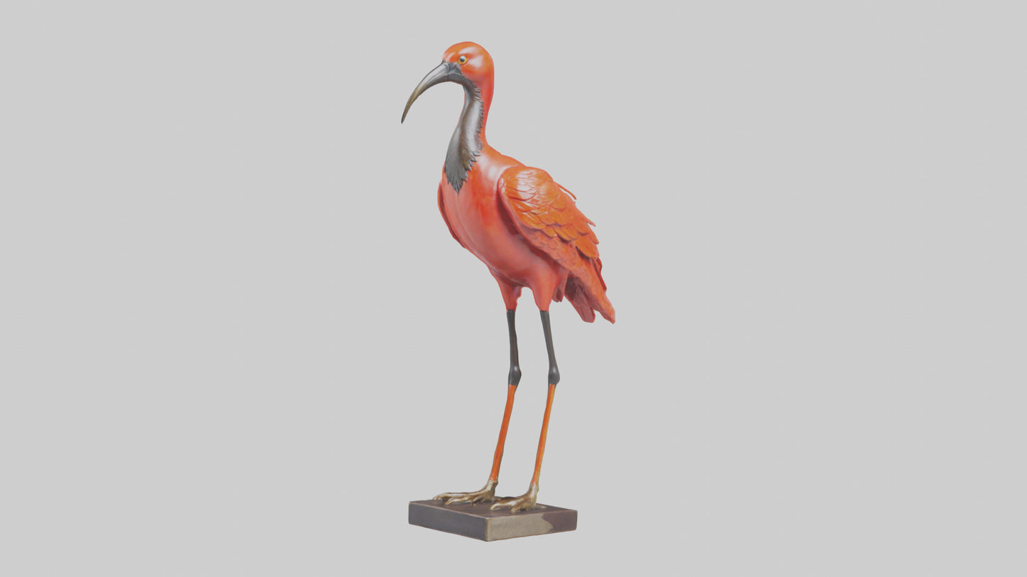 Scarlet Ibis statue model VR / AR / low-poly